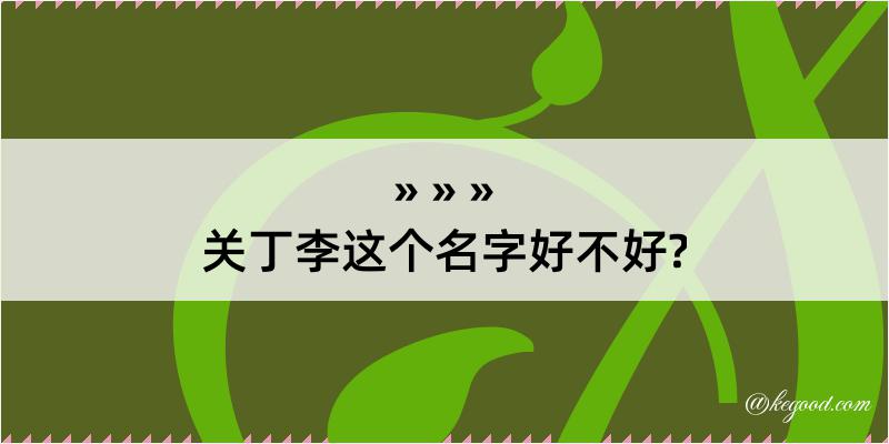 关丁李这个名字好不好?