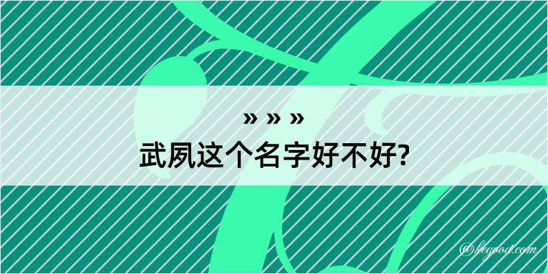 武夙这个名字好不好?