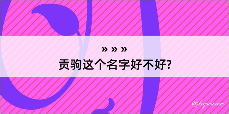 贡驹这个名字好不好?