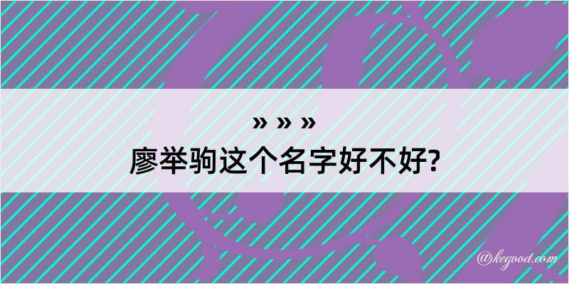 廖举驹这个名字好不好?