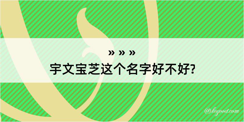 宇文宝芝这个名字好不好?