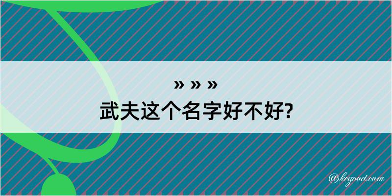 武夫这个名字好不好?