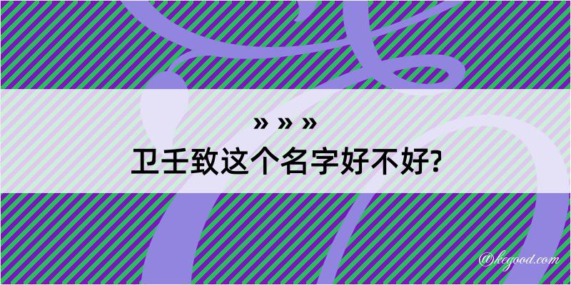 卫壬致这个名字好不好?