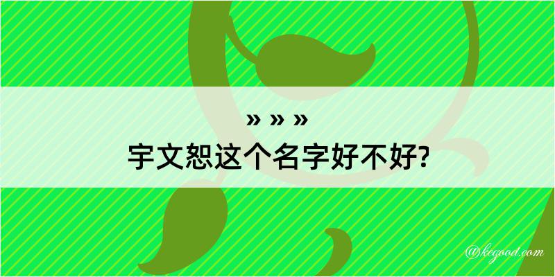 宇文恕这个名字好不好?