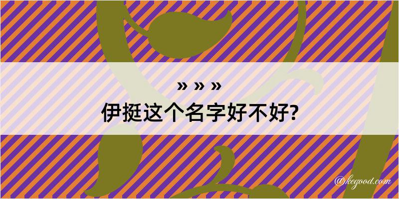 伊挺这个名字好不好?