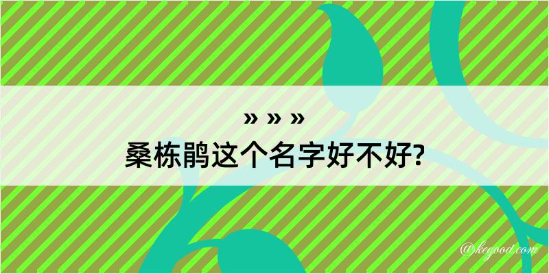 桑栋鹃这个名字好不好?