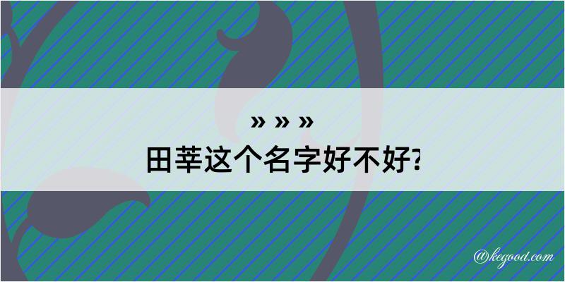 田莘这个名字好不好?