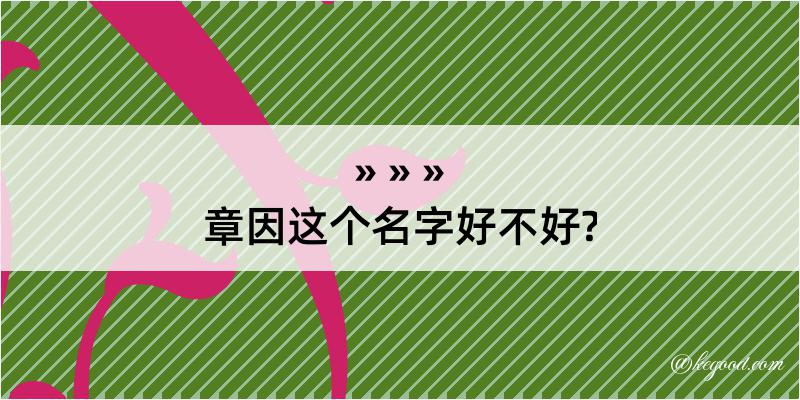 章因这个名字好不好?