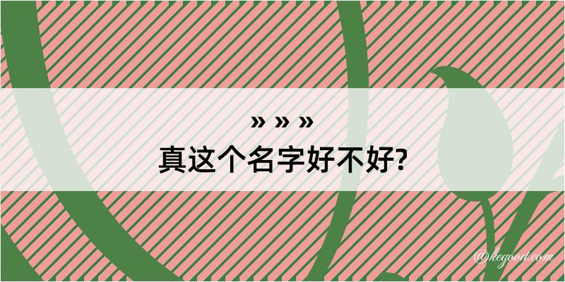 真这个名字好不好?