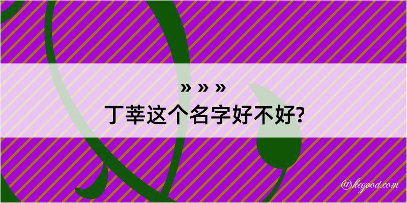 丁莘这个名字好不好?