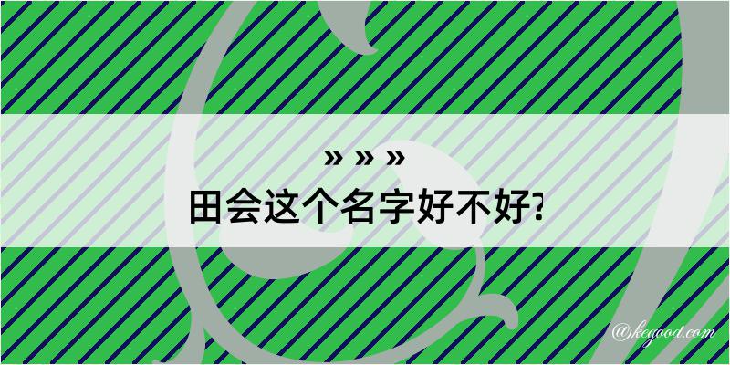 田会这个名字好不好?