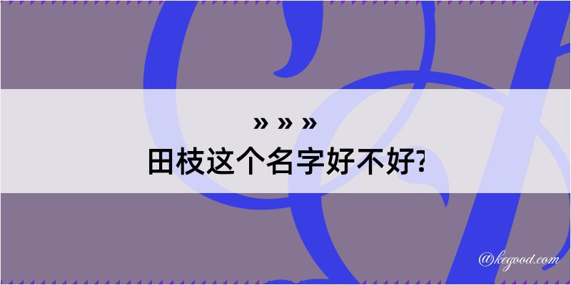 田枝这个名字好不好?