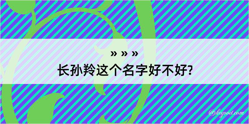 长孙羚这个名字好不好?