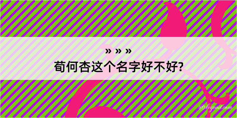 荀何杏这个名字好不好?