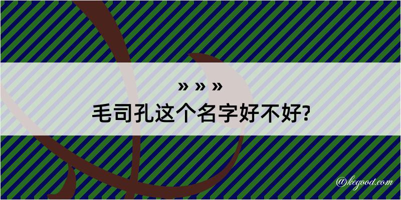 毛司孔这个名字好不好?