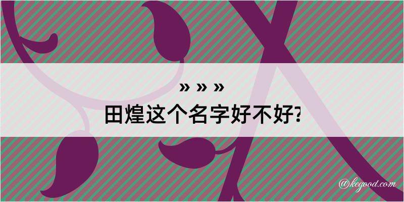 田煌这个名字好不好?