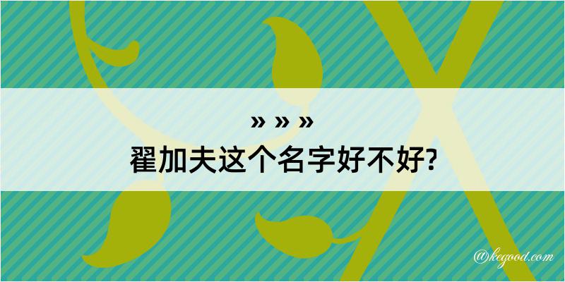 翟加夫这个名字好不好?