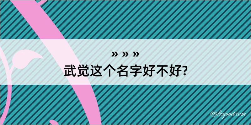 武觉这个名字好不好?