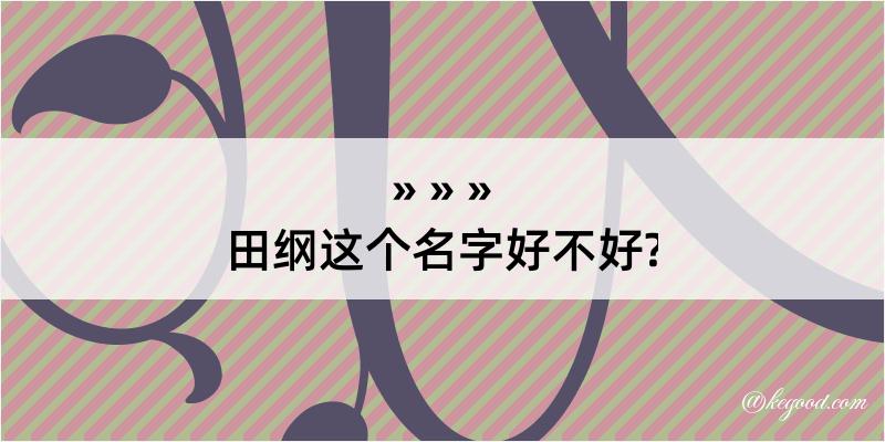 田纲这个名字好不好?