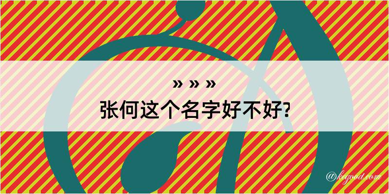 张何这个名字好不好?