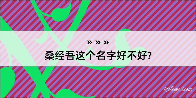 桑经吾这个名字好不好?