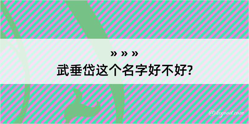 武垂岱这个名字好不好?