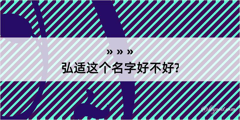 弘适这个名字好不好?