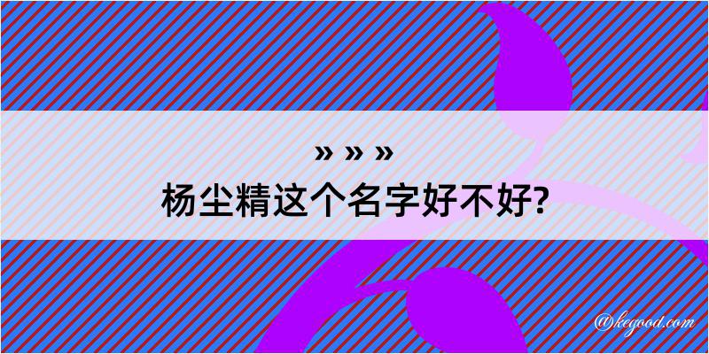 杨尘精这个名字好不好?