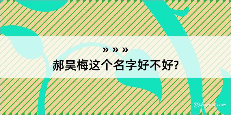 郝昊梅这个名字好不好?