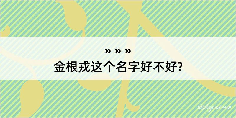 金根戎这个名字好不好?