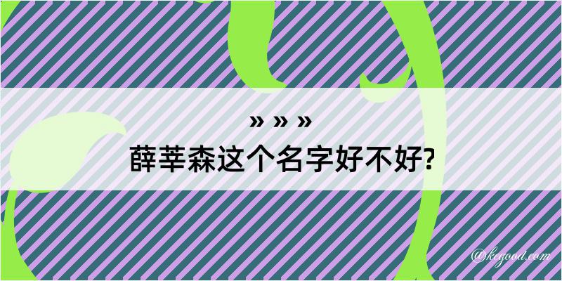 薛莘森这个名字好不好?