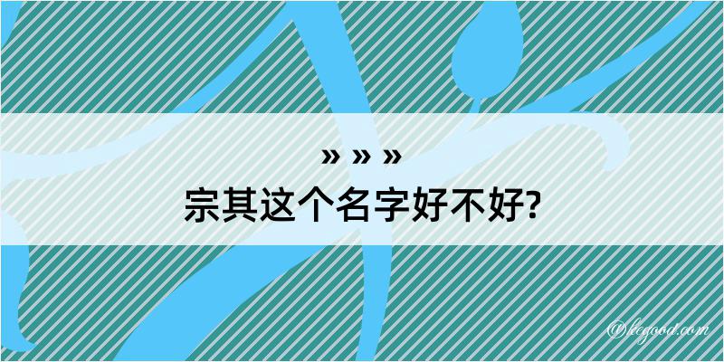 宗其这个名字好不好?