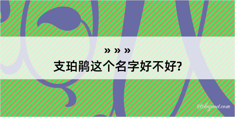 支珀鹃这个名字好不好?