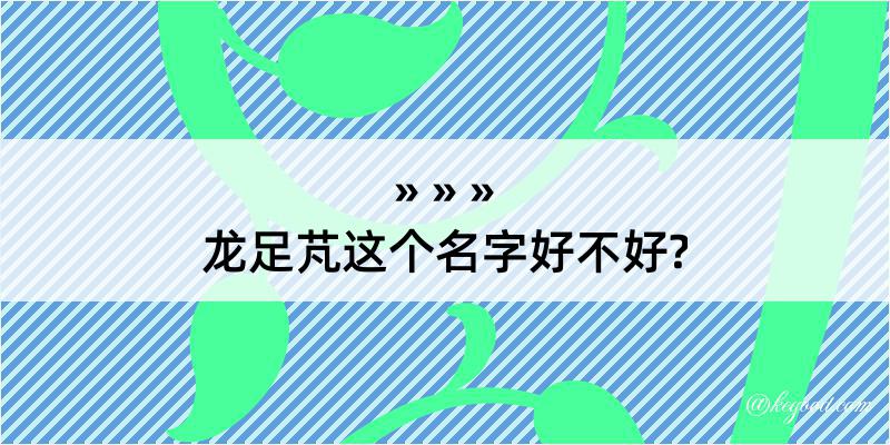 龙足芃这个名字好不好?