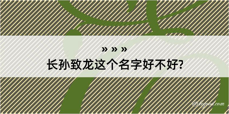 长孙致龙这个名字好不好?