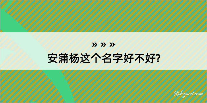 安蒲杨这个名字好不好?