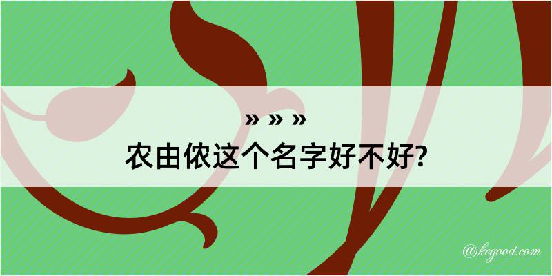 农由侬这个名字好不好?