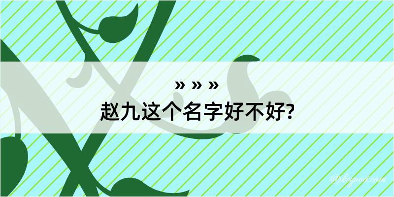 赵九这个名字好不好?