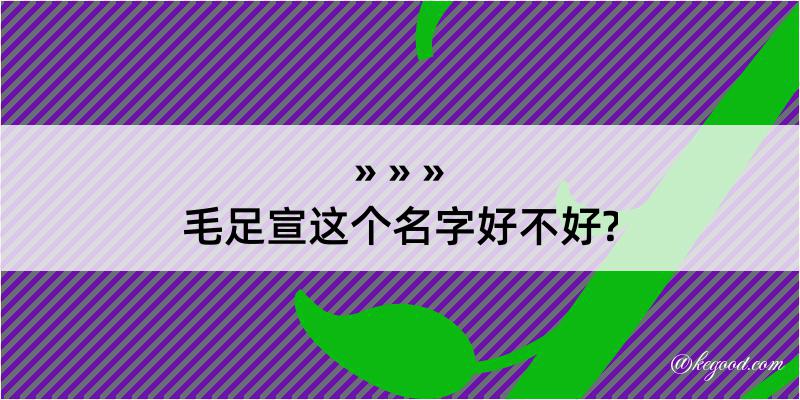 毛足宣这个名字好不好?