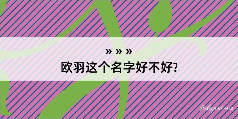 欧羽这个名字好不好?