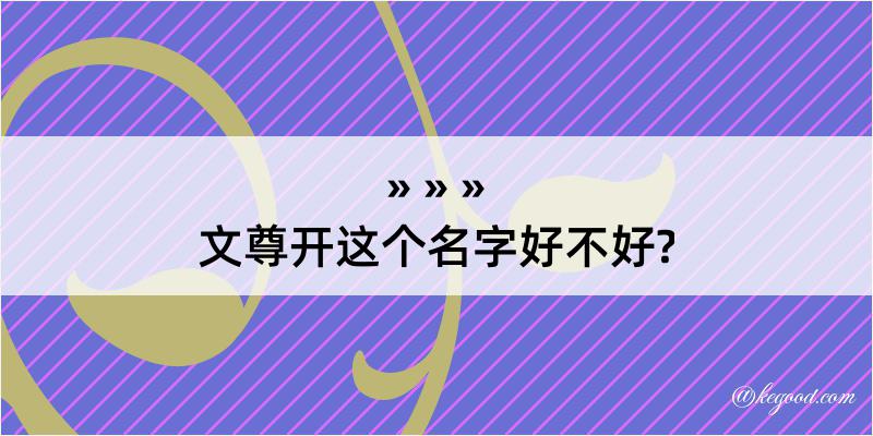 文尊开这个名字好不好?