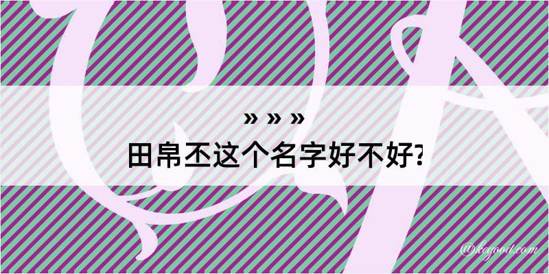 田帛丕这个名字好不好?