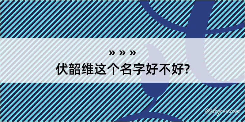 伏韶维这个名字好不好?