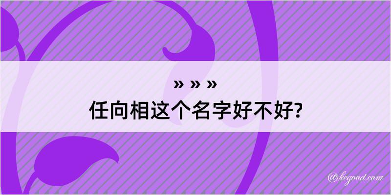 任向相这个名字好不好?