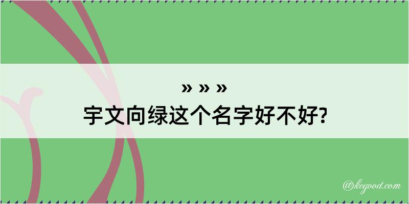 宇文向绿这个名字好不好?