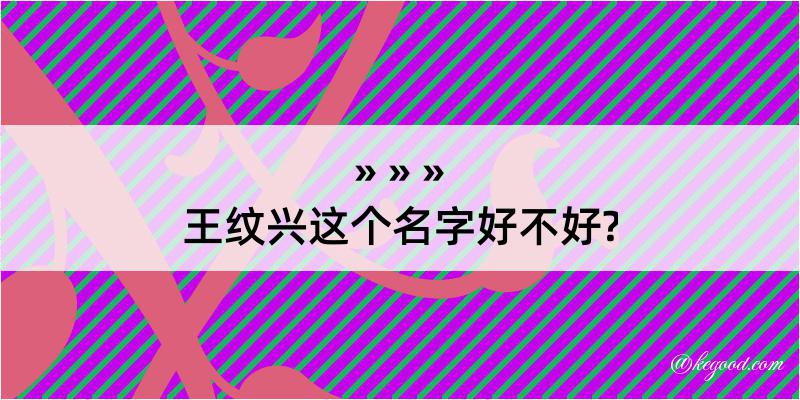 王纹兴这个名字好不好?