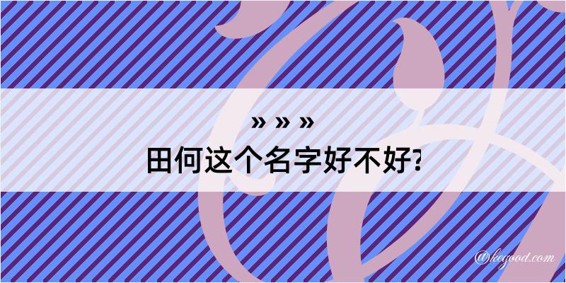 田何这个名字好不好?