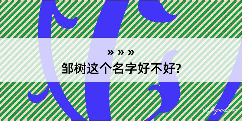 邹树这个名字好不好?