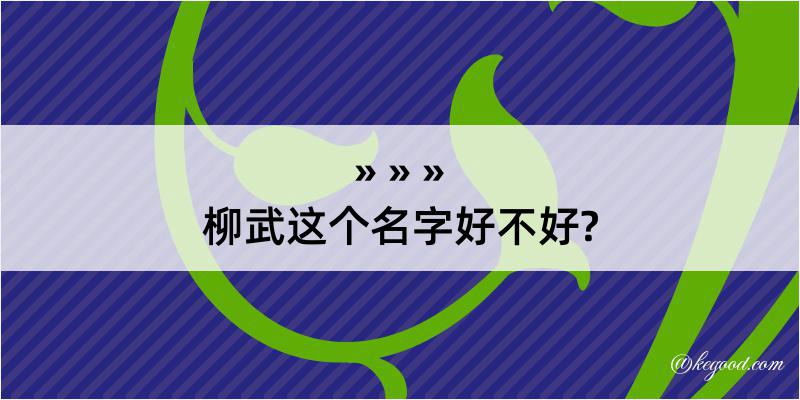 柳武这个名字好不好?