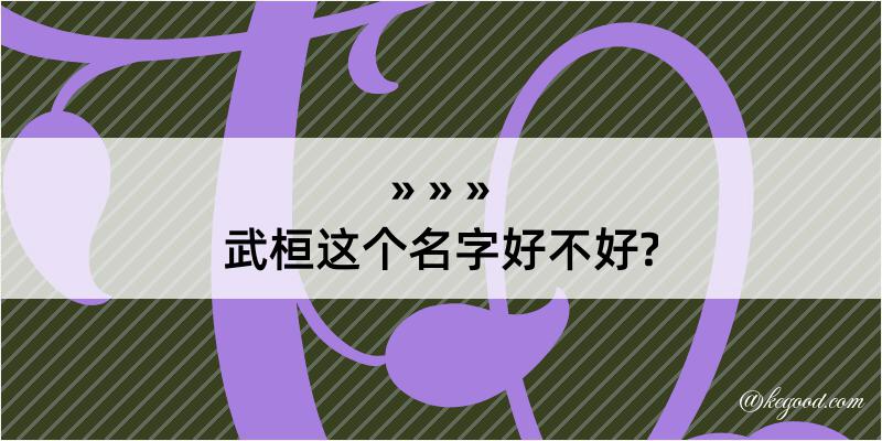 武桓这个名字好不好?